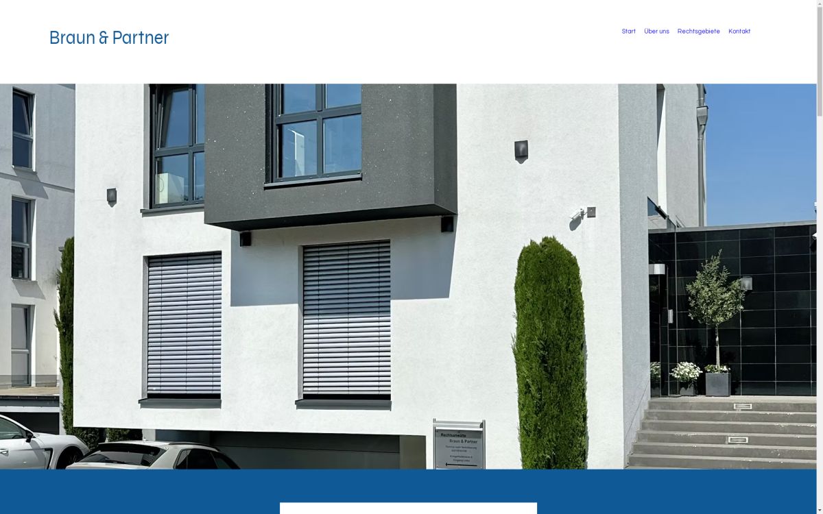 https://www.braunpartner.net
