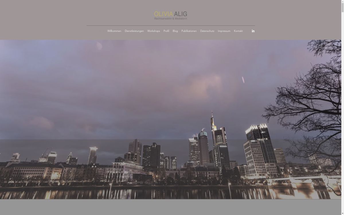 https://www.medienanwaeltin.de